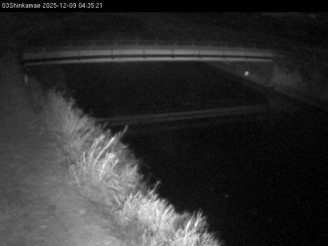 最新監視カメラ画像