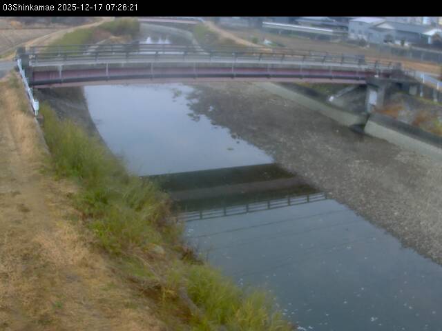 最新監視カメラ画像