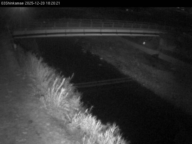 最新監視カメラ画像