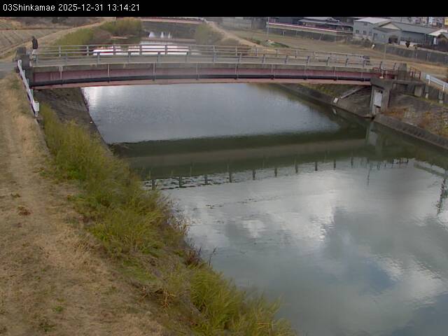 最新監視カメラ画像