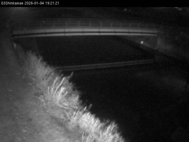 最新監視カメラ画像