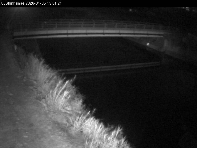 最新監視カメラ画像