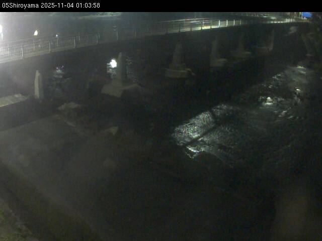 最新監視カメラ画像