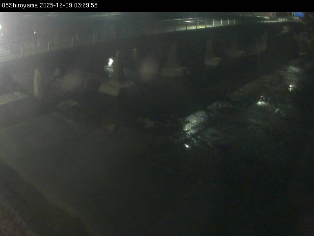 最新監視カメラ画像