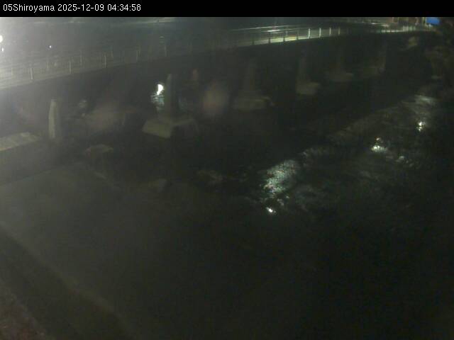 最新監視カメラ画像