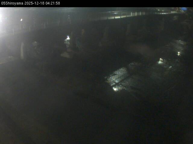 最新監視カメラ画像