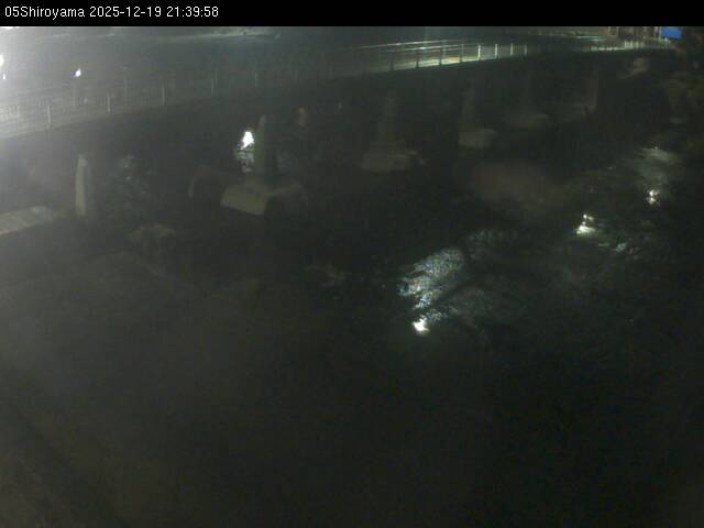 最新監視カメラ画像