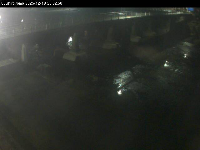 最新監視カメラ画像