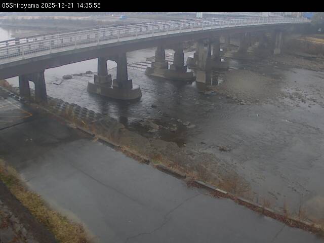 最新監視カメラ画像