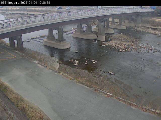 最新監視カメラ画像