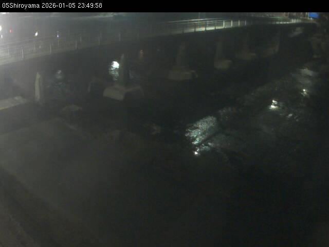 最新監視カメラ画像