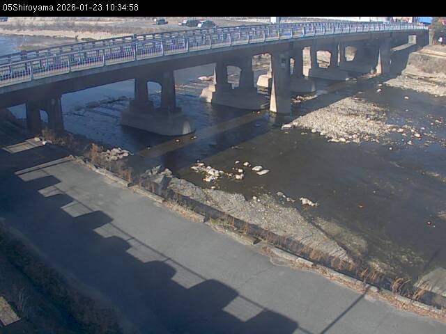 最新監視カメラ画像