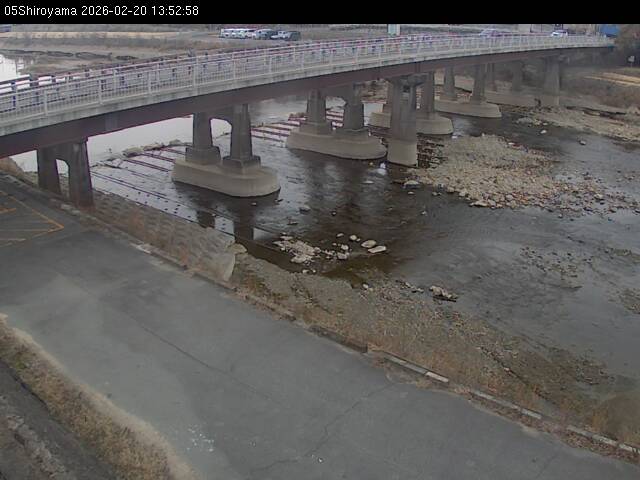 最新監視カメラ画像