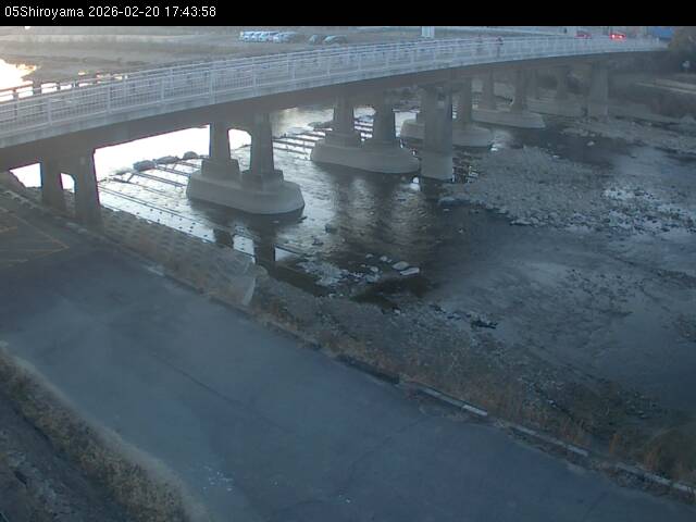 最新監視カメラ画像