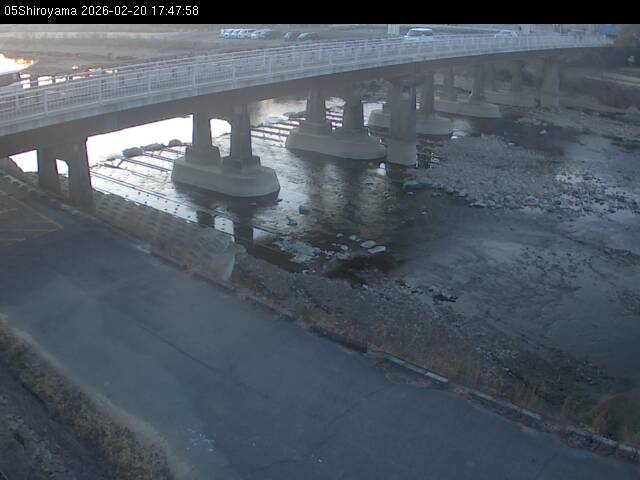 最新監視カメラ画像