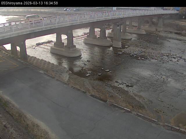 最新監視カメラ画像