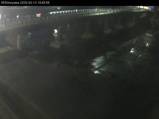 最新監視カメラ画像