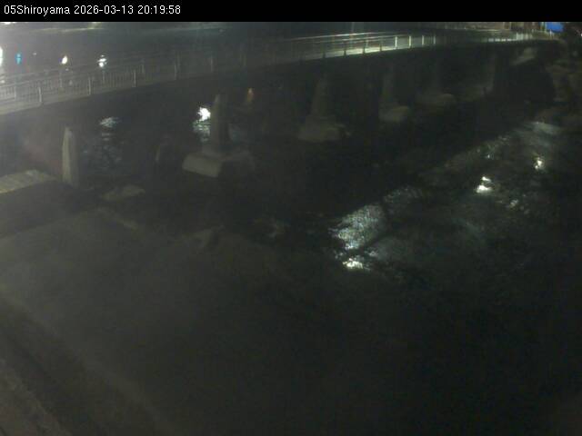 最新監視カメラ画像