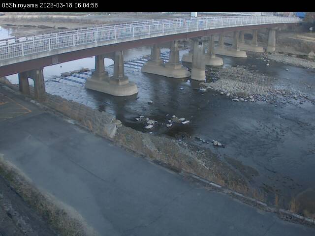 最新監視カメラ画像