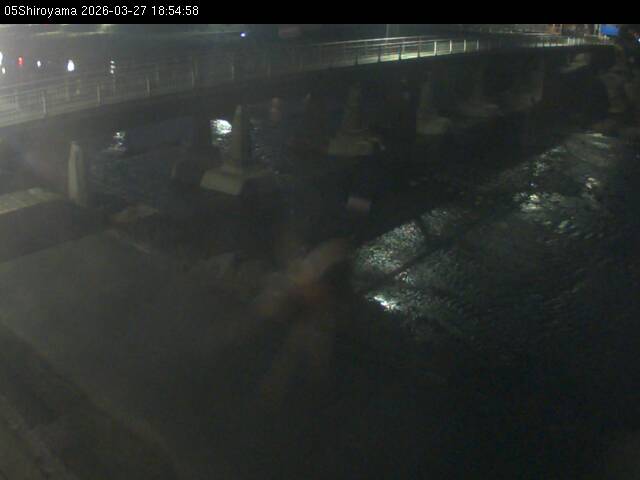 最新監視カメラ画像