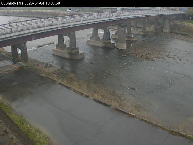 最新監視カメラ画像