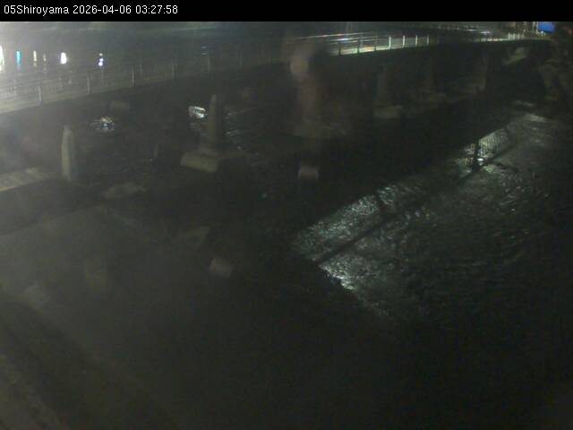 最新監視カメラ画像