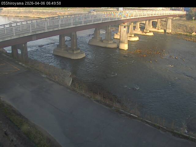 最新監視カメラ画像