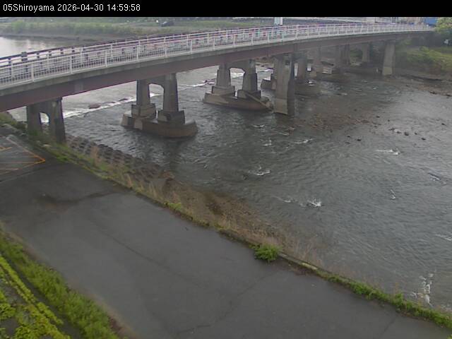 最新監視カメラ画像