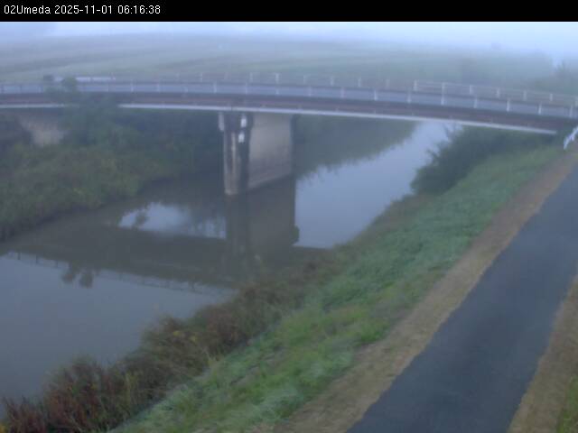 最新監視カメラ画像