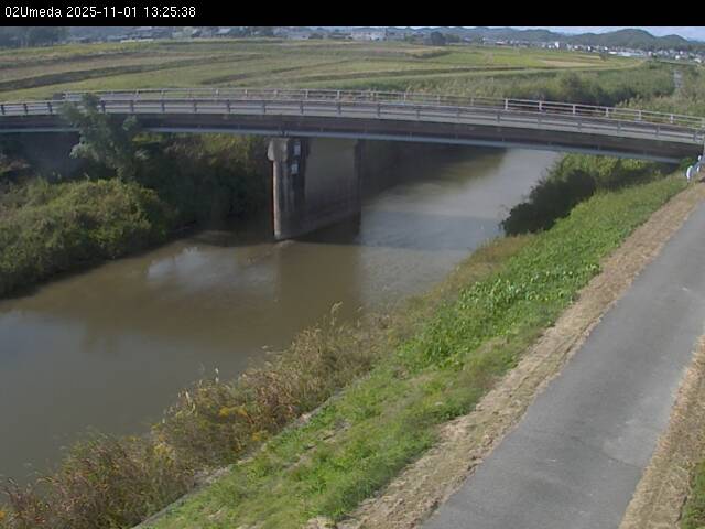 最新監視カメラ画像