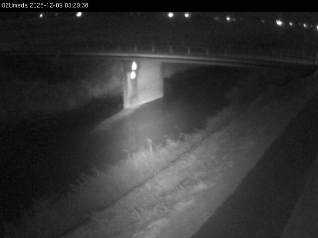 最新監視カメラ画像