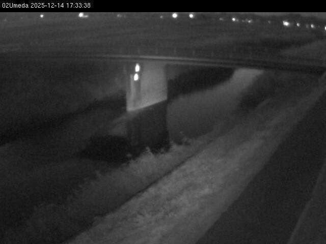 最新監視カメラ画像