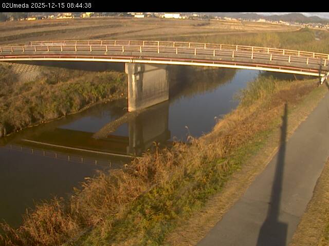 最新監視カメラ画像