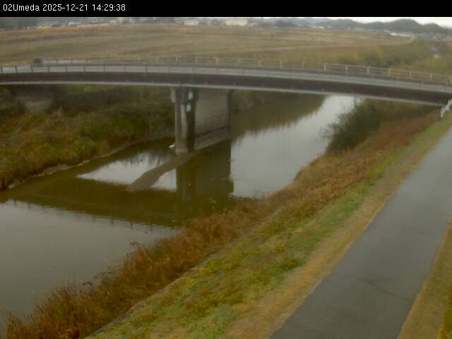 最新監視カメラ画像