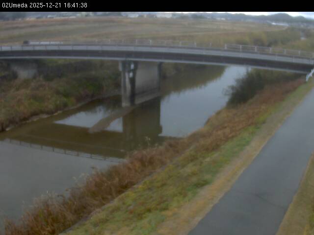 最新監視カメラ画像