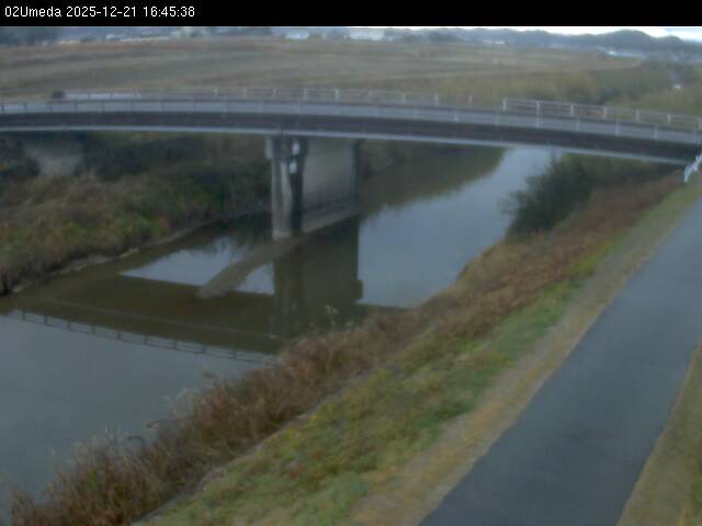 最新監視カメラ画像