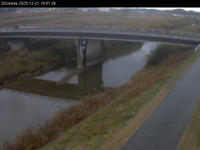 最新監視カメラ画像