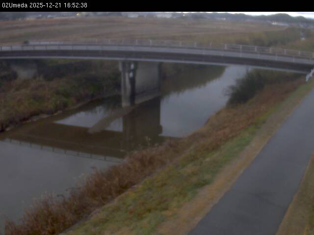 最新監視カメラ画像