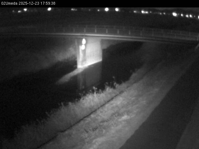 最新監視カメラ画像