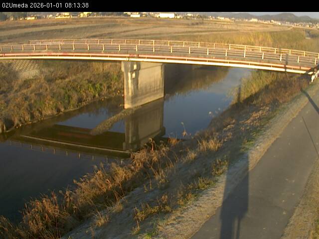 最新監視カメラ画像