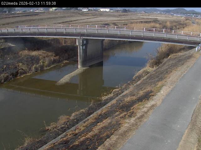 最新監視カメラ画像