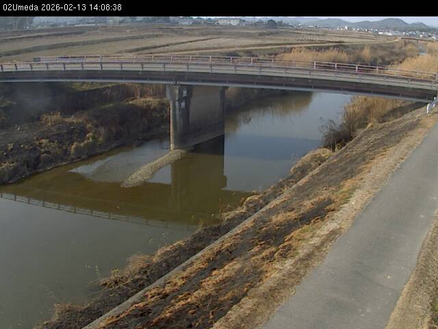 最新監視カメラ画像