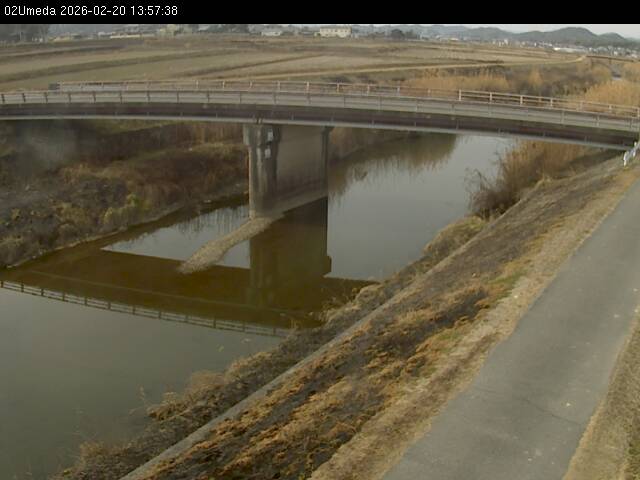 最新監視カメラ画像