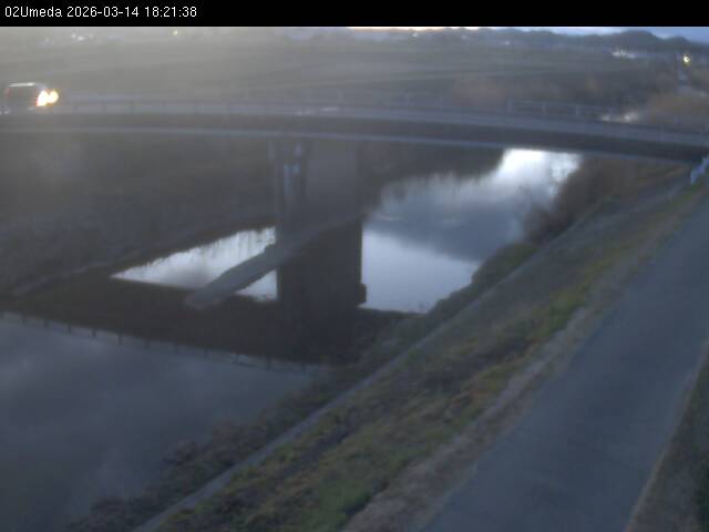 最新監視カメラ画像