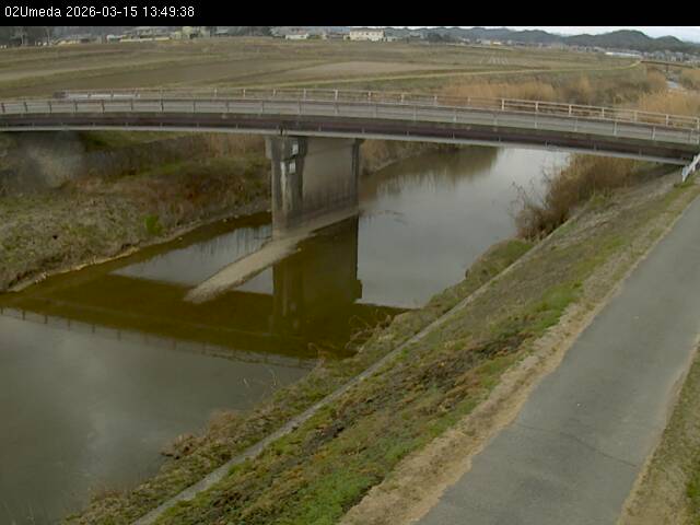 最新監視カメラ画像