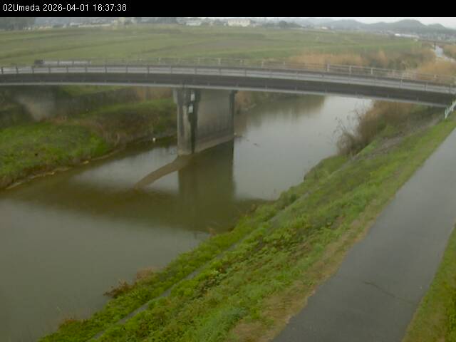 最新監視カメラ画像