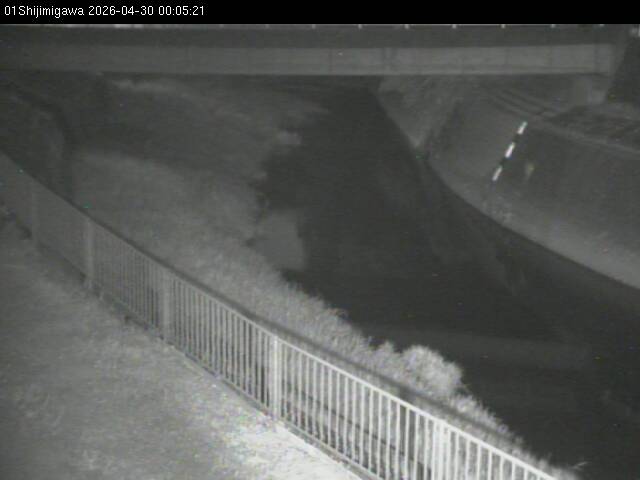 最新監視カメラ画像