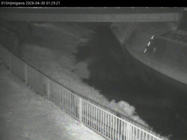 最新監視カメラ画像