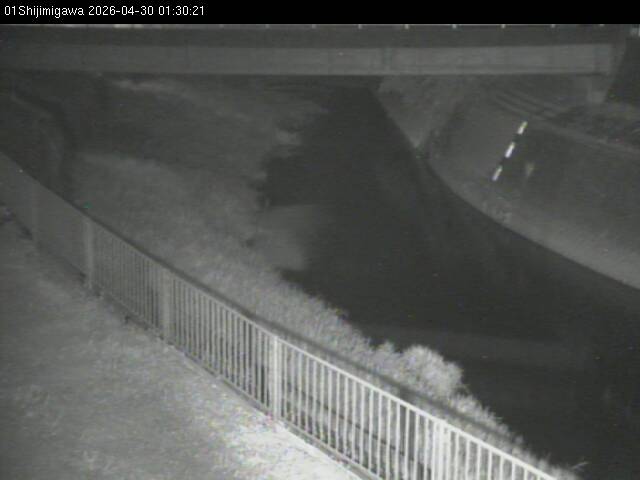 最新監視カメラ画像