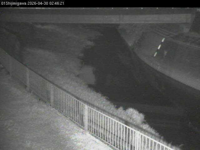 最新監視カメラ画像